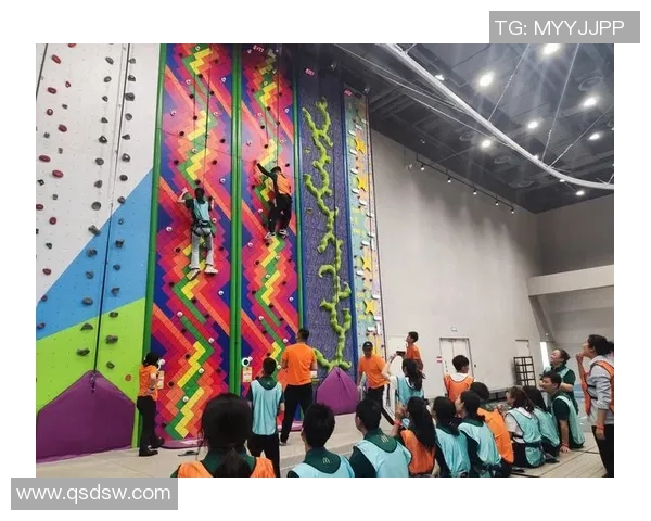 重庆极限运动队的灵活性探讨与极限运动的未来发展之路 重庆极限运动队的灵活性探讨与极限运动的未来发展之路